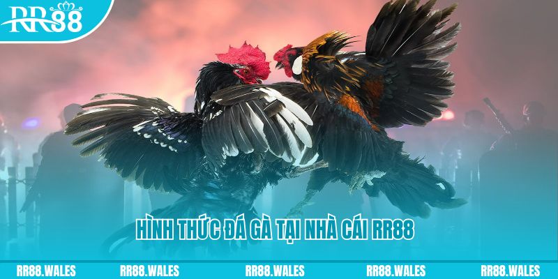 w88top slot tiếng anh la gì