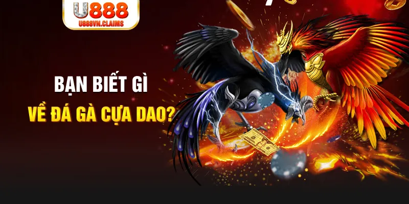 đăng nhập mậu binh miễn phí