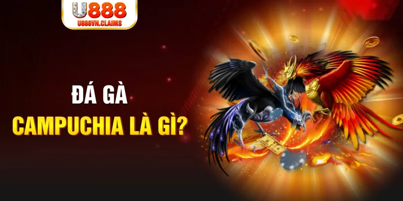 w88top xổ số miền nam thứ sáu