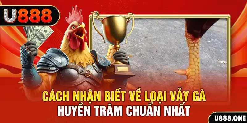 w88top tai game danh bai tien len tren may tinh