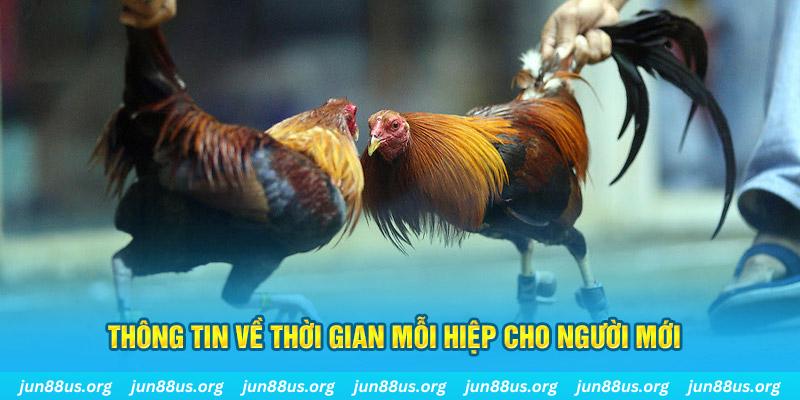 w88top đăng nhập poker mới nhất