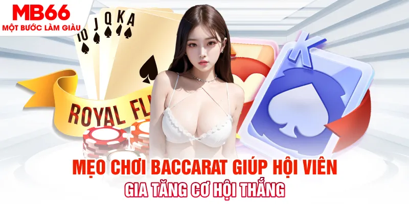 w88top đá gà 88