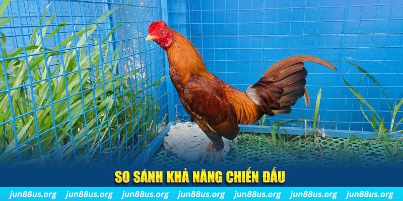 w88top xổ số tiền giang