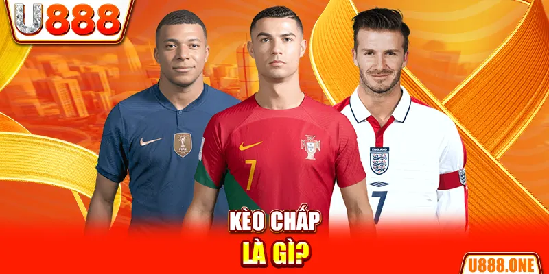 w88top chổi lông gà