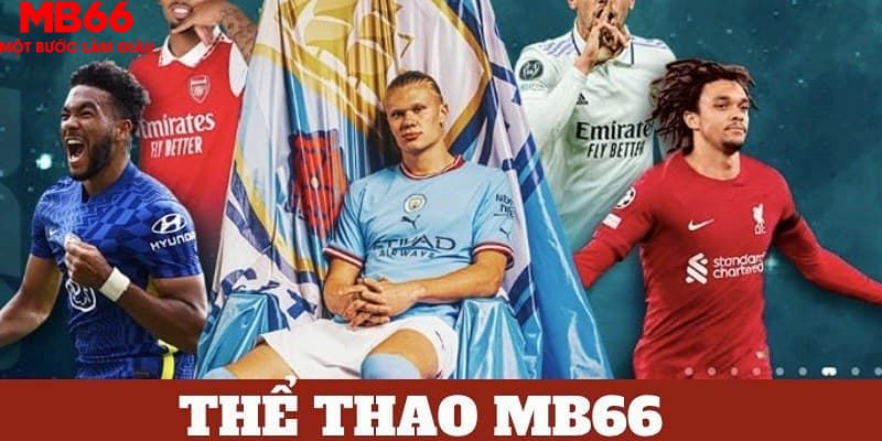 w88top trực tiếp đá gà thomo