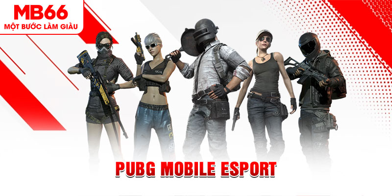 w88top xổ số minh ngọc – miền nam