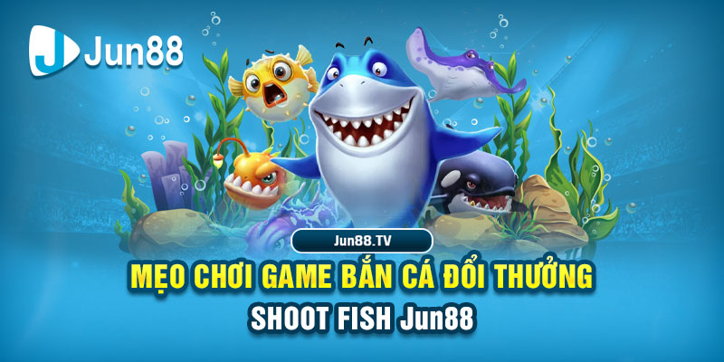 w88top tai game danh bai bigkool ve may tinh