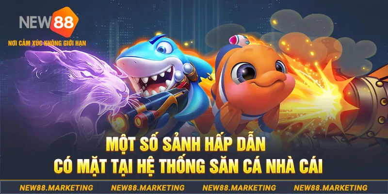 xổ số an giang