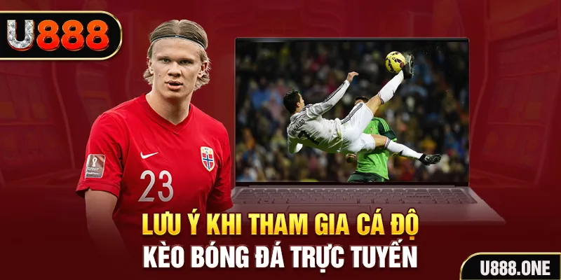YB Điện Tử