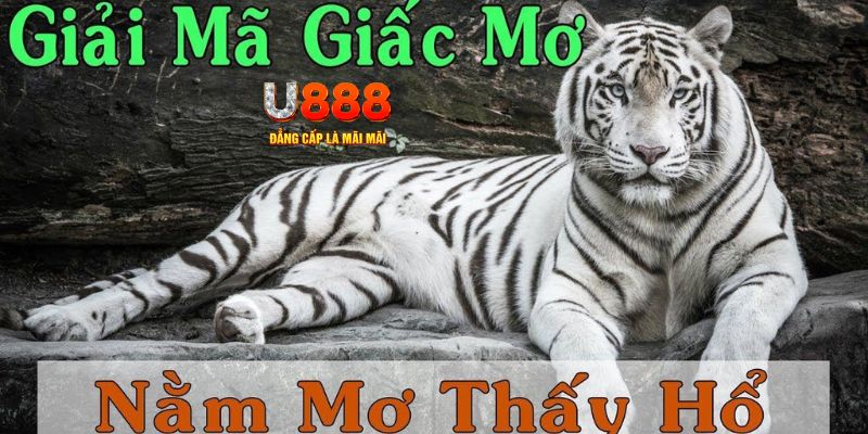 w88top xổ số kiến thiết miền bắc