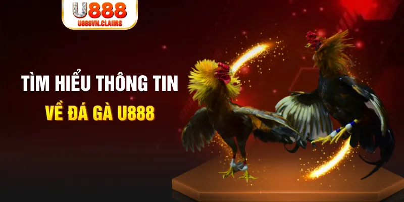w88top GEM Điện Tử