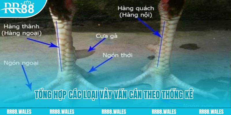 w88top nổ hũ chơi như thế nào