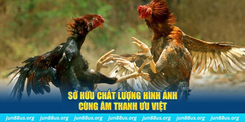 w88top tai game danh bai ve may tinh