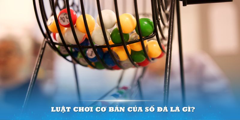 bản kiểm điểm cá nhân