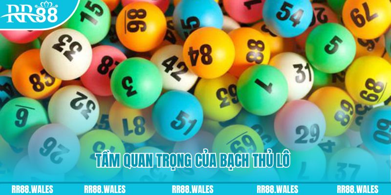 w88top đá gà trực tiếp casino