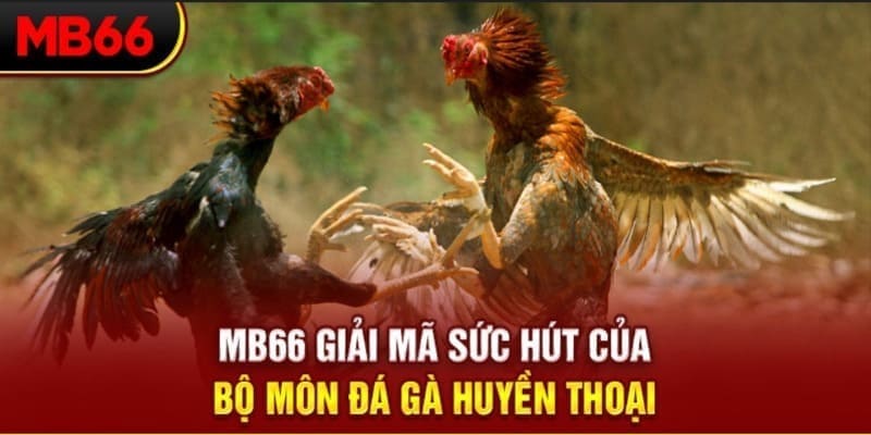 w88top long bảo baccarat la gì