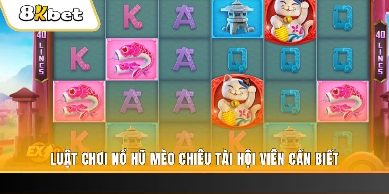 w88top đá gà trực tiếp thomo 67