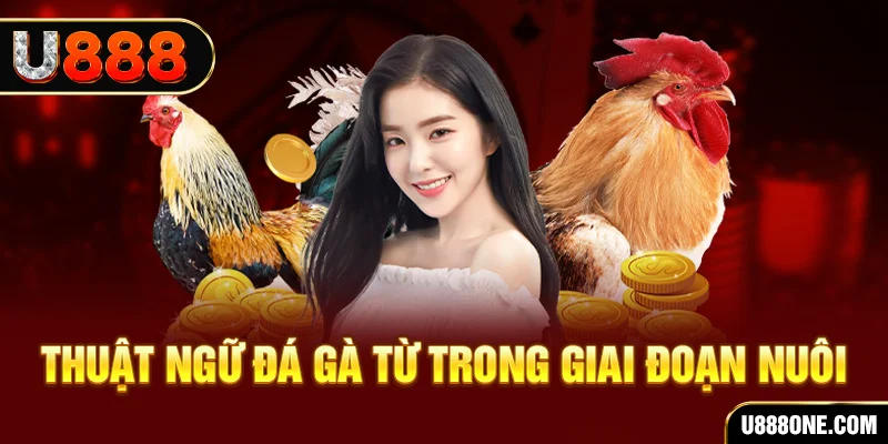 xổ số miền nam – minh ngọc