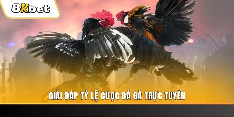 w88top xổ số ba đài