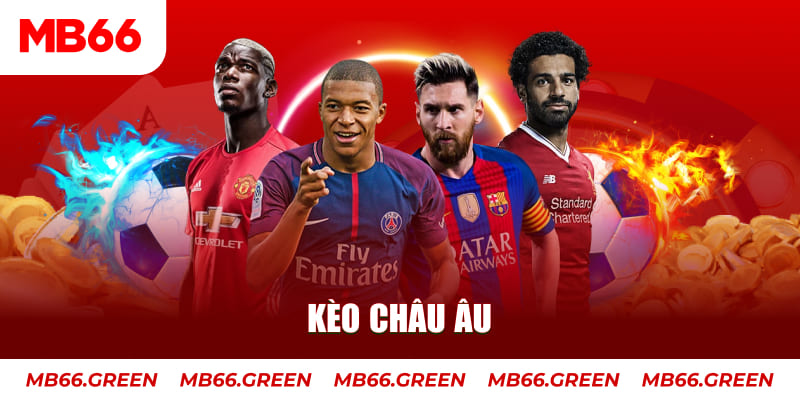 w88top đá gà thomo hôm nay