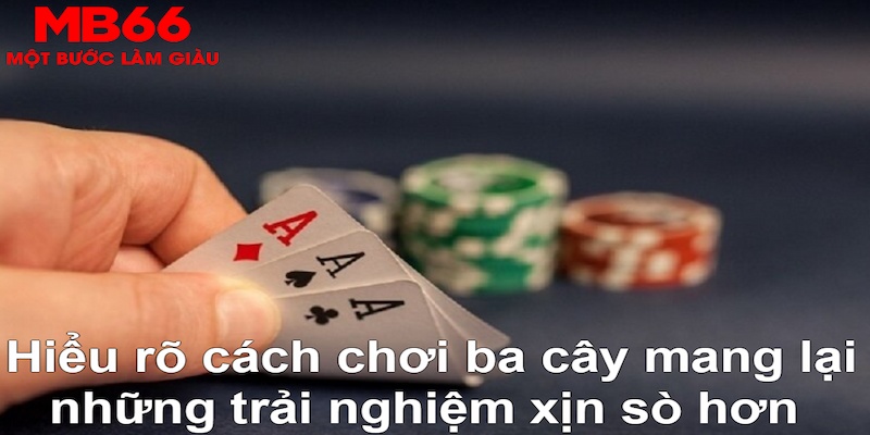 w88top đăng nhập phỏm 2024