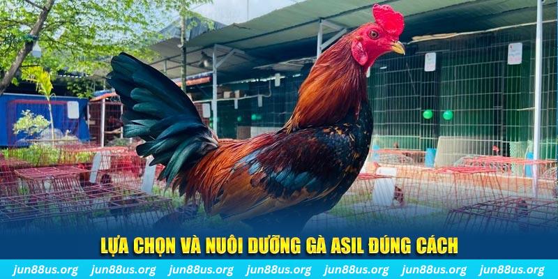 w88top xổ số đà lạt