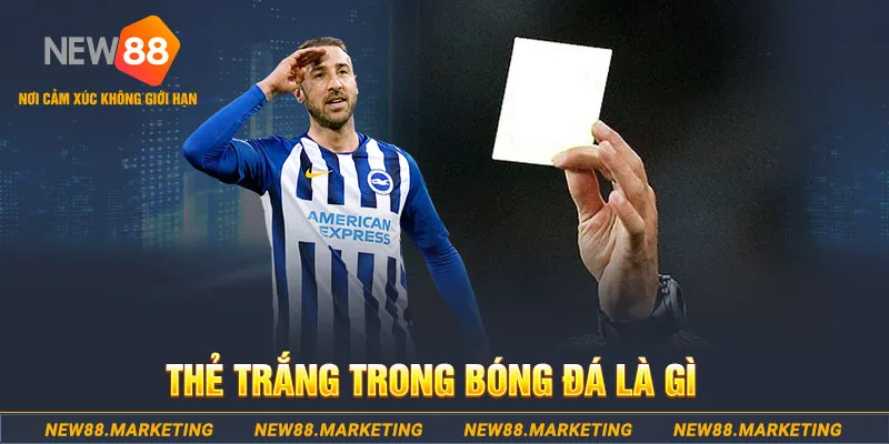 w88top trò chơi baccarat là gì