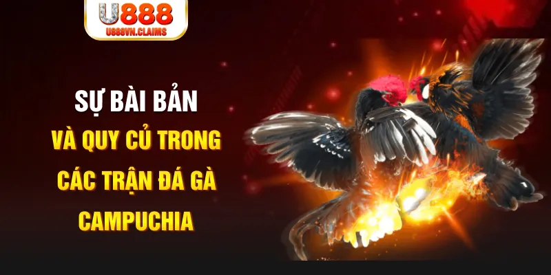 w88top xổ số miền bắc hôm nay