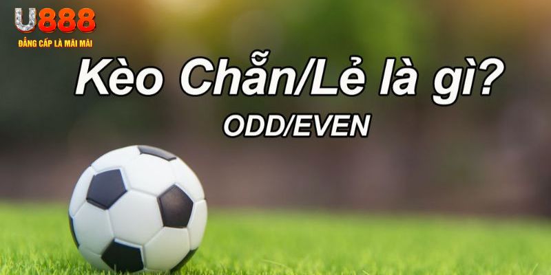 w88top xổ số miền nam chiều nay