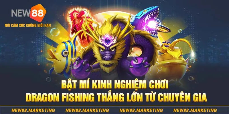 w88top who wants to be a millionaire slot
